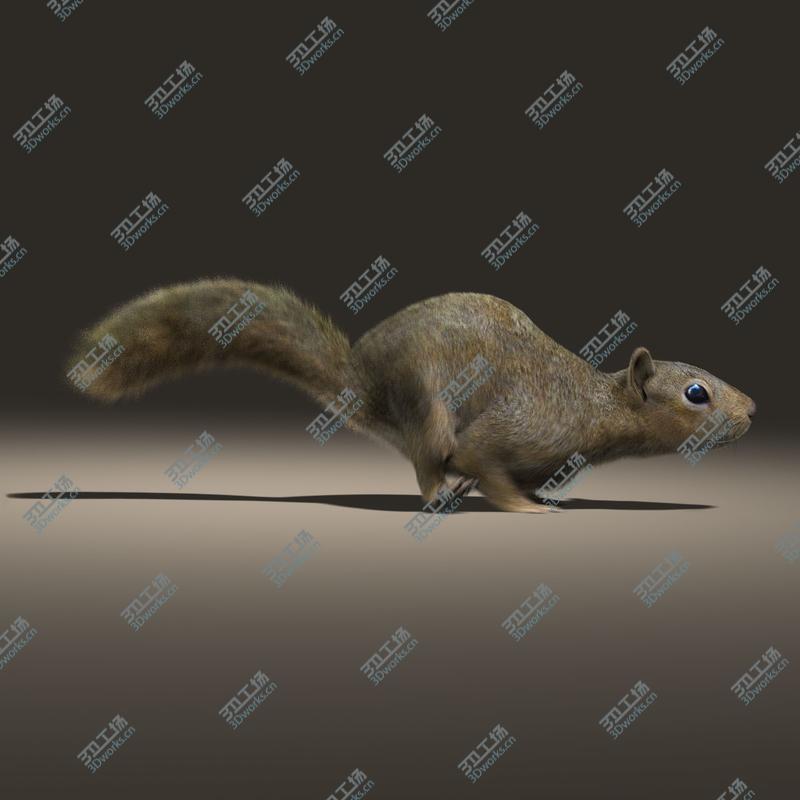 images/goods_img/202104023/Squirrel (ANIMATED) (FUR)/2.jpg